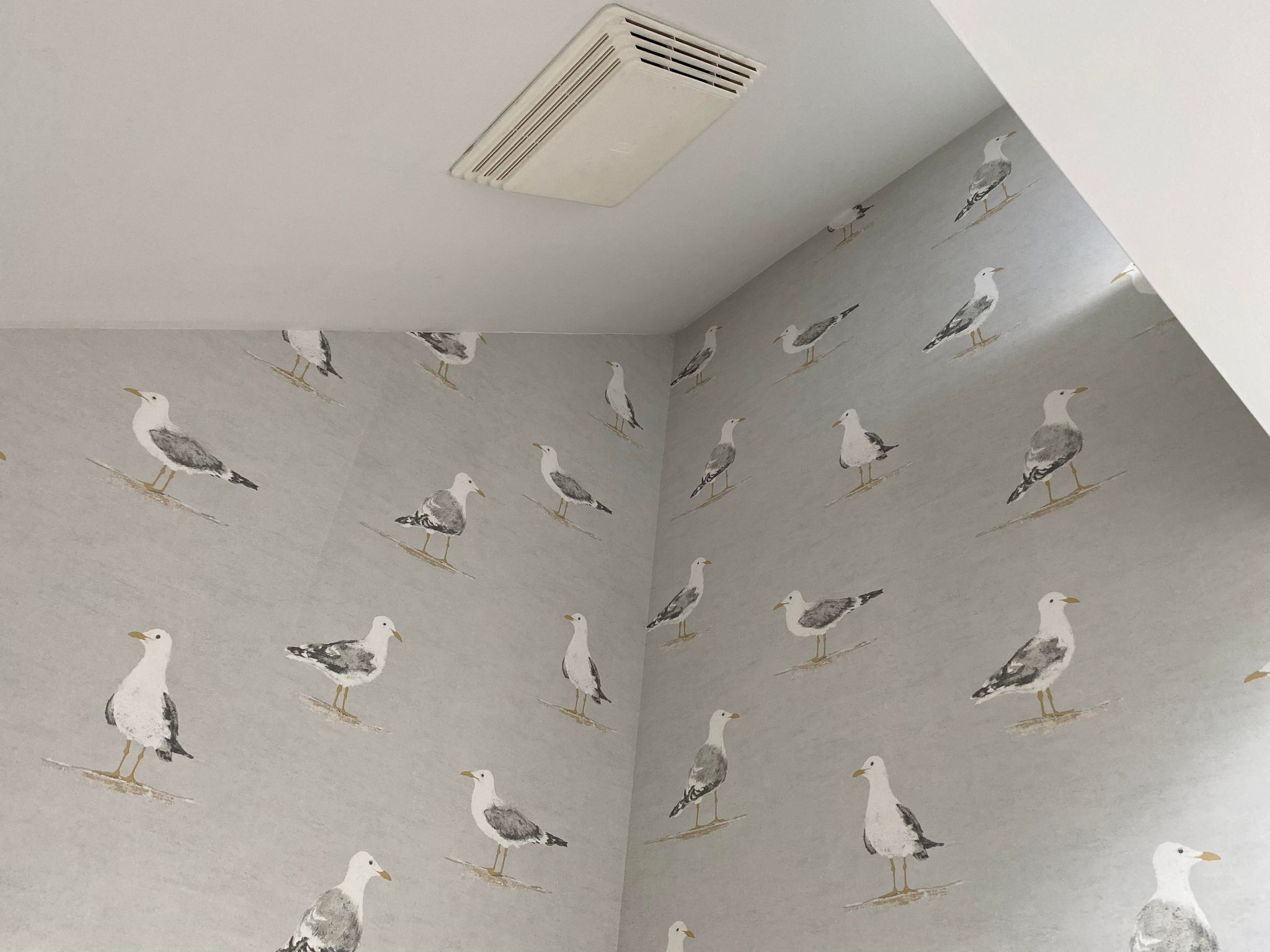 Wallpaper Installation